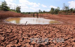Tháng 5, khô hạn tiếp tục lan rộng ở miền Trung