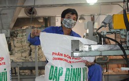 Kinh doanh dưới giá vốn, DAP Đình Vũ (DDV) báo lỗ lớn 175 tỷ đồng