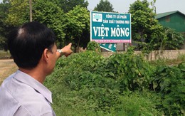 Hà Nội xác định trường hợp lấn chiếm, sử dụng đất trái phép tại dự án Làng sinh thái chè Việt Mông