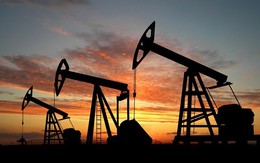 Ngân hàng thế giới nâng dự báo dầu thô năm 2017 lên 55 USD/thùng