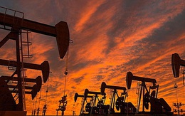 Giá dầu giảm mạnh nhất trong 1 tháng