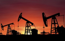 Giá dầu bất ngờ tăng vọt