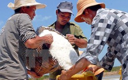 Công bố kết quả kiểm nghiệm độ an toàn của muối ở tỉnh Hà Tĩnh