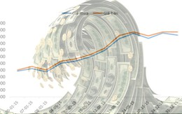 [Infographic] Nhìn lại những đợt sóng tỷ giá năm 2015