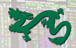 Dragon Capital vay 50 triệu USD đầu tư vào Việt Nam