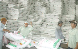 Mỗi năm nửa triệu tấn đường Thái nhập lậu vào Việt Nam
