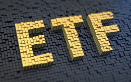 Dự báo danh mục ETF quý 2/2016: HSG và DRC lọt rổ FTSE Vietnam ETF