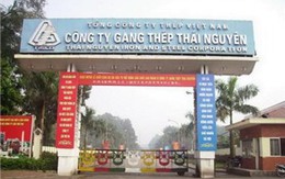 SCIC kiến nghị miễn thuế, giãn nợ cho dự án nghìn tỷ của Gang thép Thái Nguyên