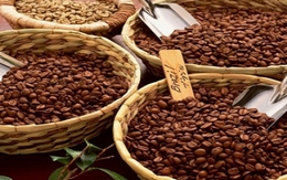 Sản lượng cà phê giảm 7% trong niên vụ 2016–2017