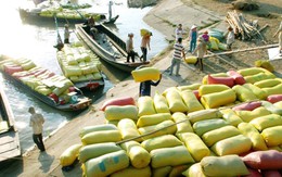 Xuất khẩu gạo 5 tháng đầu năm sụt giảm
