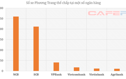 Lộ diện các chủ nợ khác của Phương Trang: SCB, NCB, VPBank