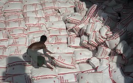 Thái Lan chủ trương bán 10 triệu tấn gạo tồn kho trong năm nay
