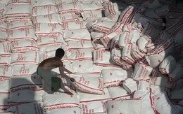 Thái Lan sẽ bán đấu giá 3,7 triệu tấn gạo trong tháng 7