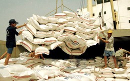 Tiếp tục điều chỉnh giảm sản lượng xuất khẩu gạo trong quý 2