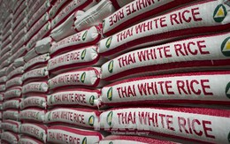 Giá gạo Thái Lan xuất khẩu tăng mạnh vì hạn hán