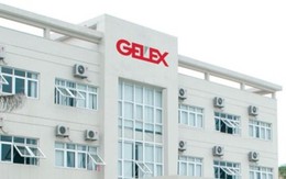 Tổng Công ty Thiết bị Điện (GEX) điều chuyển 2 Phó Tổng Giám đốc về công ty con