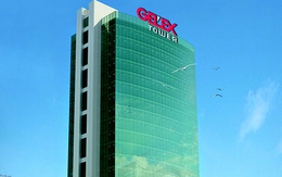 GEX sẽ nâng tỷ lệ sở hữu tại CTCP Thiết bị điện Thibidi lên 71%