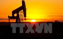 Giá dầu tăng nhờ tâm lý lạc quan về thỏa thuận cắt giảm sản lượng