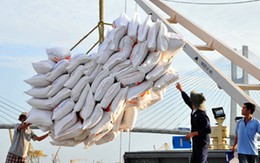 Xuất khẩu gạo gần đạt 1 tỷ USD sau 4 tháng đầu năm