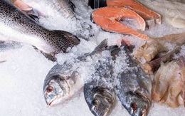 Hà Tĩnh còn tồn kho hơn 2.000 tấn hải sản