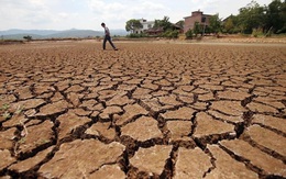 El Nino đã trở thành ác mộng của các công ty thủy điện