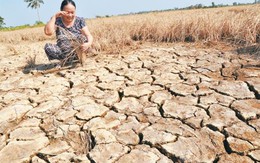 Việt Nam kêu gọi quốc tế hỗ trợ ứng phó hạn hán, xâm nhập mặn