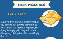 Đây là những thông tin cho bạn biết khi nào thì nên thay ngay các vật dụng trong nhà