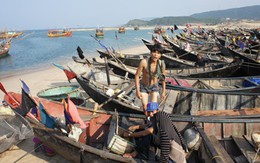 Định mức bồi thường thiệt hại do sự cố Formosa: Ngư dân nhận cao nhất là hơn 50 triệu đồng