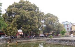 Vì sao các doanh nghiệp bất động sản đổ xô về Đại Mỗ?