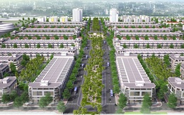 Thị trường bất động sản TP. Long Xuyên ngày càng khởi sắc