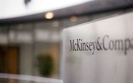 Lộ diện quỹ đầu tư tỷ đô ở McKinsey sau 30 năm giấu kín