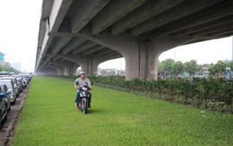 Hà Nội: Chăm sóc cỏ ở... gầm cầu cũng tốn nhiều chục tỉ