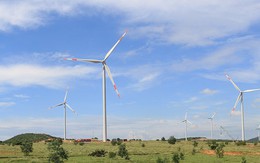 Nhà máy điện gió hơn 1.000 tỉ tại Bình Thuận hoạt động
