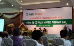 Hoàng Anh Gia Lai đón tin vui từ nước Mỹ