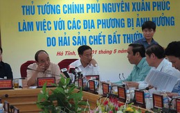 Thủ tướng Nguyễn Xuân Phúc: Phải làm rõ nguyên nhân gây thảm họa