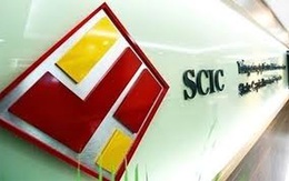 SCIC: Bán “bò sữa” Vinamilk vẫn phải chờ Chính phủ