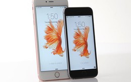 iPhone 6S, 6S Plus hết "hot", cổ phiếu Apple rớt mạnh