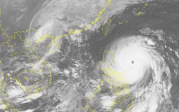 16h chiều nay, bão số 7 giật cấp 11 tấn công đất liền Quảng Ninh