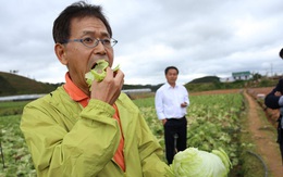 Kinh doanh nông sản sạch: Nhật bán xà lách 1,2 triệu đồng/kg, còn Việt Nam vẫn đang “lên vũ trụ bằng dép lốp”