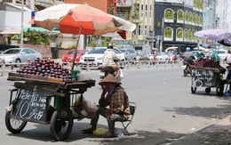 Mận Trung Quốc gắn mác Hà Nội trên đường phố Sài Gòn