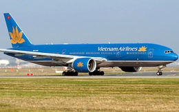 Chim va vào động cơ khiến Vietnam Airlines phải “delay” hàng loạt chuyến bay