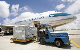 Nội Bài Cargo (NCT) chốt quyền nhận cổ tức bằng tiền tỷ lệ 50%