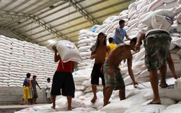 Philippines có kế hoạch nhập khẩu thêm gạo từ Việt Nam, Thái Lan