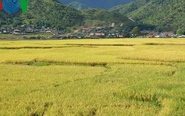 Tái cơ cấu nông nghiệp: Cần thoát khỏi tư duy “tự cung tự cấp”