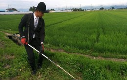 Chàng nông dân Nhật Bản kỳ lạ với sở thích mặc vest đi lội ruộng, cắt cỏ