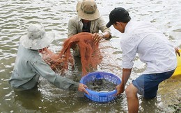 Chính phủ phê duyệt chủ trương đầu tư 21 chương trình mục tiêu