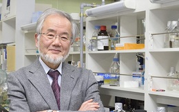 Nobel Y học về tay người Nhật