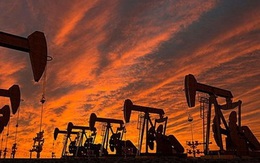 Giá dầu bật tăng trên thị trường châu Á nhờ tín hiệu từ OPEC