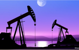 Goldman Sachs: Giá dầu sẽ xuống dưới 20 USD/thùng