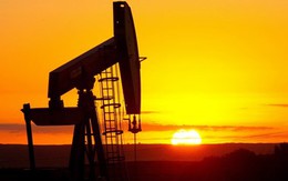 Giới phân tích: Giá dầu có thể phục hồi mạnh từ giữa năm 2017
